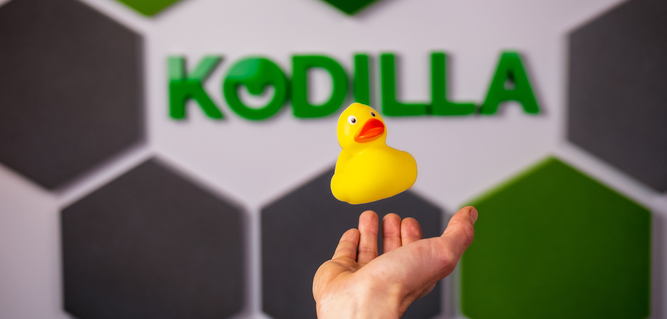 Metoda gumowej kaczuszki, czyli jak poprawiać błędy w swoim kodzie